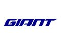 Giant_120