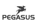 Pegasus_120